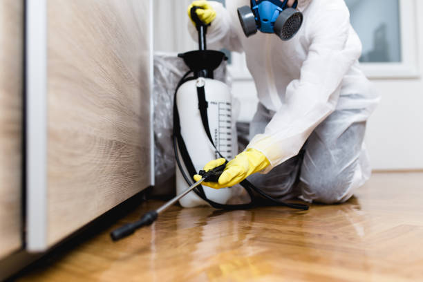 Best Insect Control  in Oceanport, NJ
