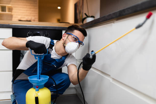 Best Flea Control Services  in Oceanport, NJ