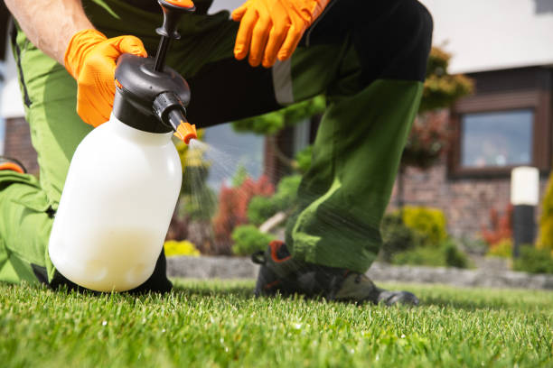Best Emergency Pest Control  in Oceanport, NJ