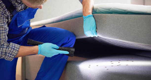 Best Pest Inspection Near Me  in Oceanport, NJ