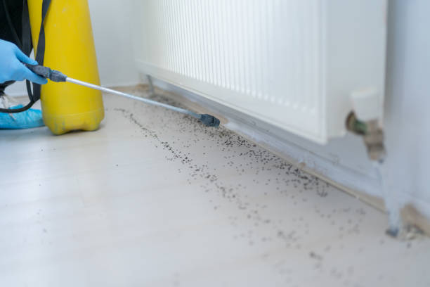 Best Affordable Pest Control Services  in Oceanport, NJ