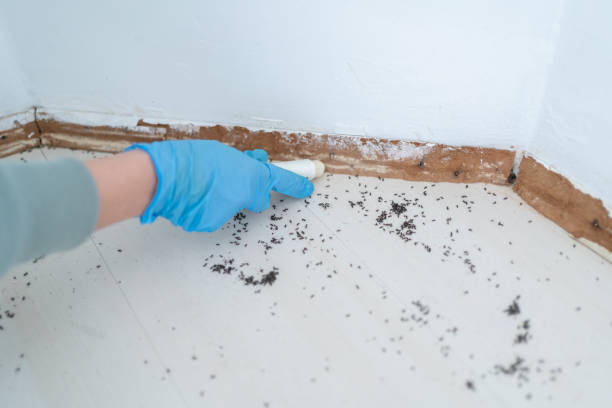 Pest Control Cost in Oceanport, NJ